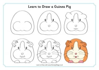 Learn To Draw Guinea Pig