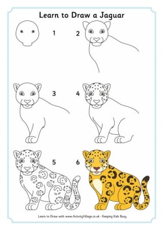 Learn To Draw A Jaguar
