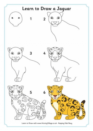 Learn to Draw Animals Learn to Draw Animals