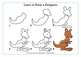 Learn to Draw a Kangaroo