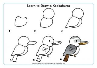 Learn to Draw a Kookaburra