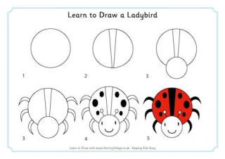 Learn to Draw a Ladybird