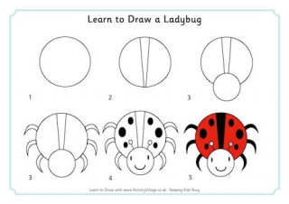 Learn to Draw a Ladybug