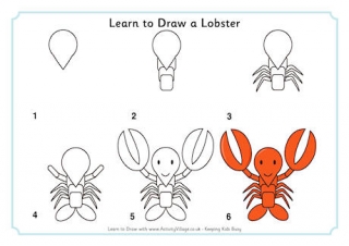 Learn to Draw a Lobster