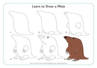 Learn to Draw a Mole 