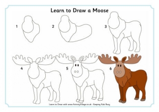Learn To Draw A Moose