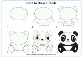 Learn to draw a panda