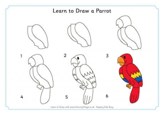 Learn to Draw a Parrot