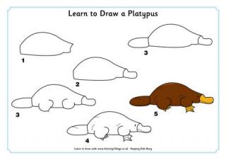 Platypuses