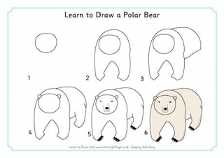 Learn to Draw a Polar Bear