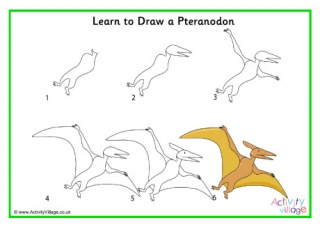 Learn To Draw A Pteranodon