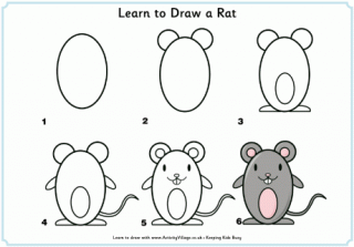Learn to Draw a Rat