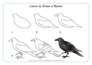 Learn to Draw a Raven