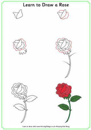 Learn to draw a rose