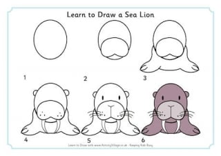 Learn to Draw a Sea Lion