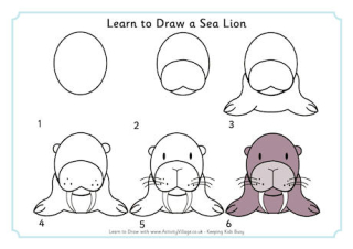 Learn to Draw a Sea Lion