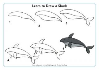 Learn to Draw a Shark