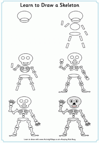 Learn to Draw a Skeleton