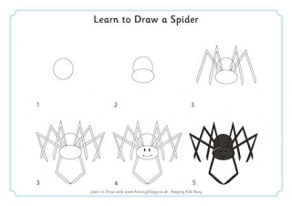 Learn to Draw a Spider