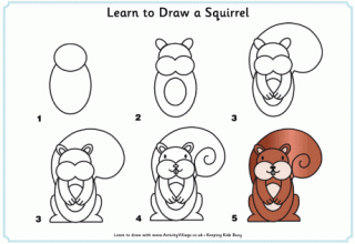Learn to Draw a Squirrel