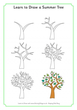 Learn To Draw A Summer Tree