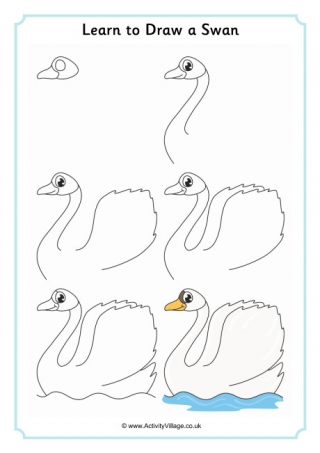 Learn to Draw a Swan