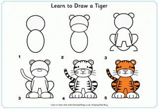 Learn to Draw a Tiger