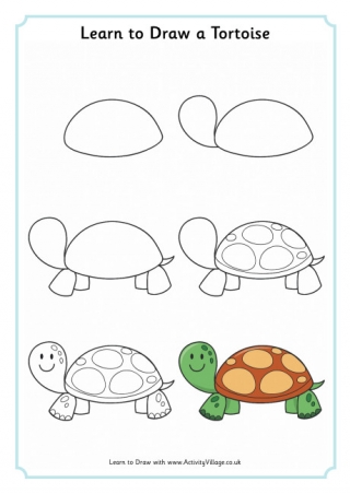 Learn To Draw A Tortoise