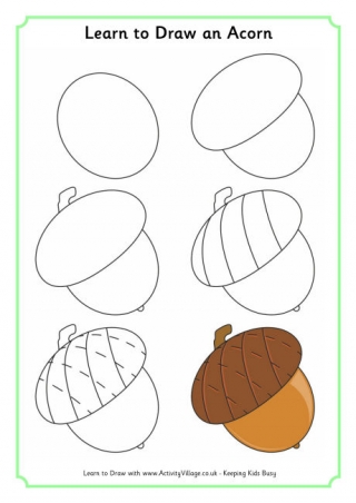Learn To Draw An Acorn