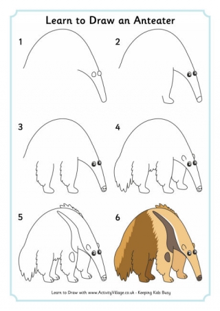 Learn To Draw An Anteater
