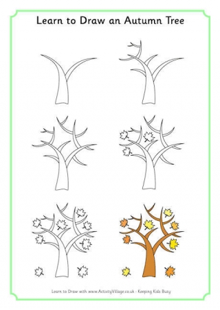 Learn To Draw An Autumn Tree