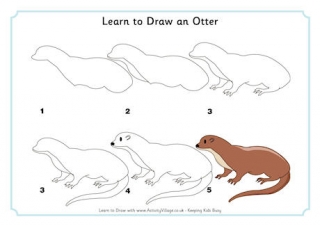 Learn to Draw an Otter