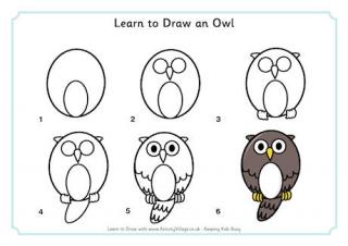 Learn to Draw an Owl