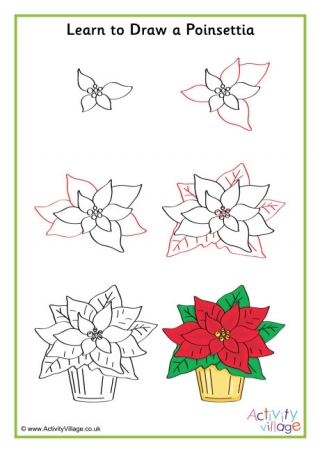 Learn to Draw Poinsettia