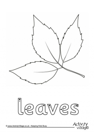 Leaves Finger Tracing