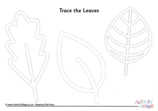 Leaves Tracing Page