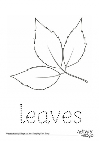 Leaves Word Tracing