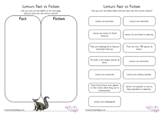 Lemur Fact vs Fiction