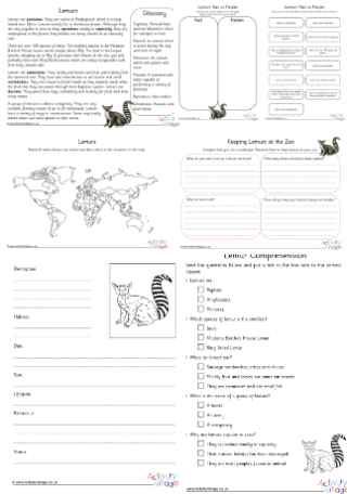 Lemur Project Pack