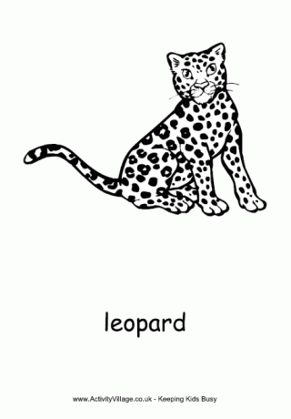 Leopard Colouring Page
