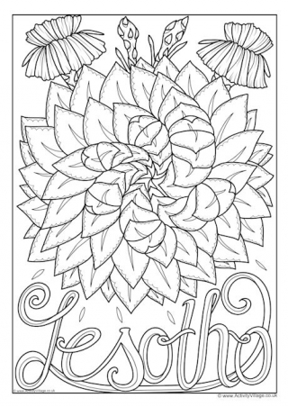 Lesotho National Flower Colouring Page