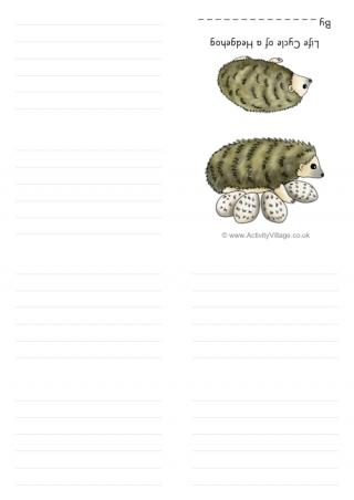 Life Cycle of a Hedgehog Booklet
