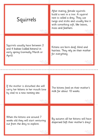 Life Cycle Of A Squirrel Sorting Cards