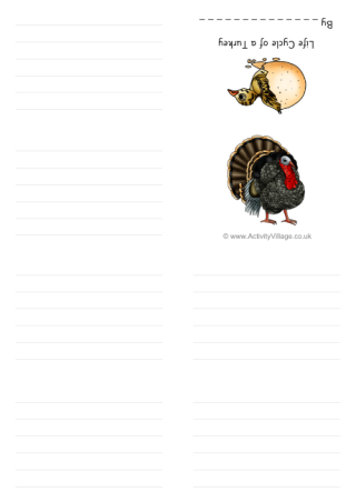 Life Cycle Of A Turkey Booklet