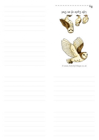 Life Cycle Of An Owl Booklet