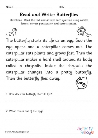 Life Cycle of a Butterfly Reading and Questions Worksheet KS1