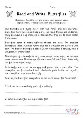 Life Cycle of a Butterfly Reading and Questions Worksheet KS2