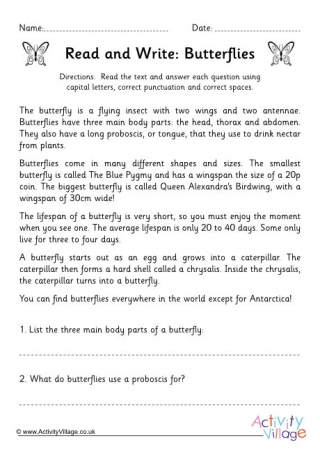 Life Cycle of a Butterfly Reading and Questions Worksheet KS2