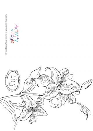Lily Colouring Card