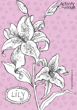 Lily Colouring Page 2